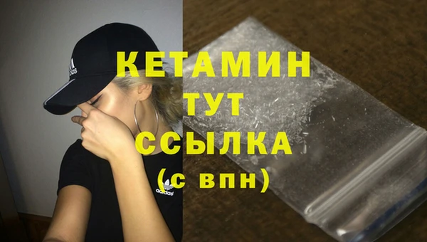 крисы Алексин