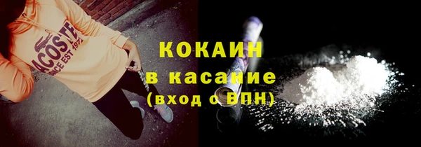 крисы Алексин