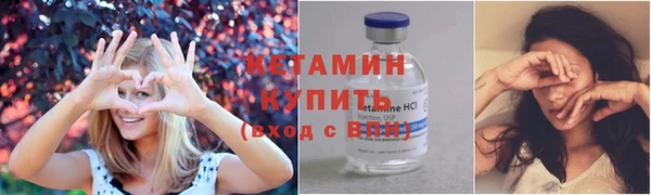крисы Алексин
