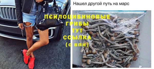 крисы Алексин