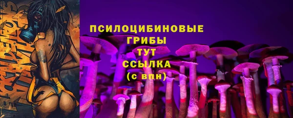 крисы Алексеевка
