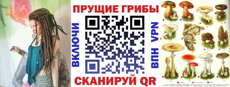 Псилоцибиновые грибы прущие грибы  Махачкала 